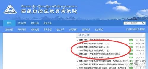 2023年西藏成人高考官網成績查詢入口:快速查看您的成績 2023年西藏成人高考官網成績查詢入口:快速查看您的成績 - 腿腿教學網