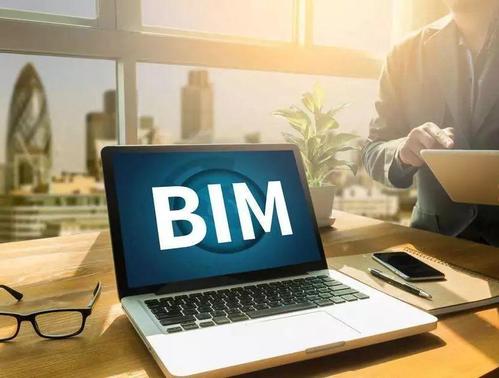 BIM項目管理專家 BIM項目管理專家 - BIM,Reivt中文網