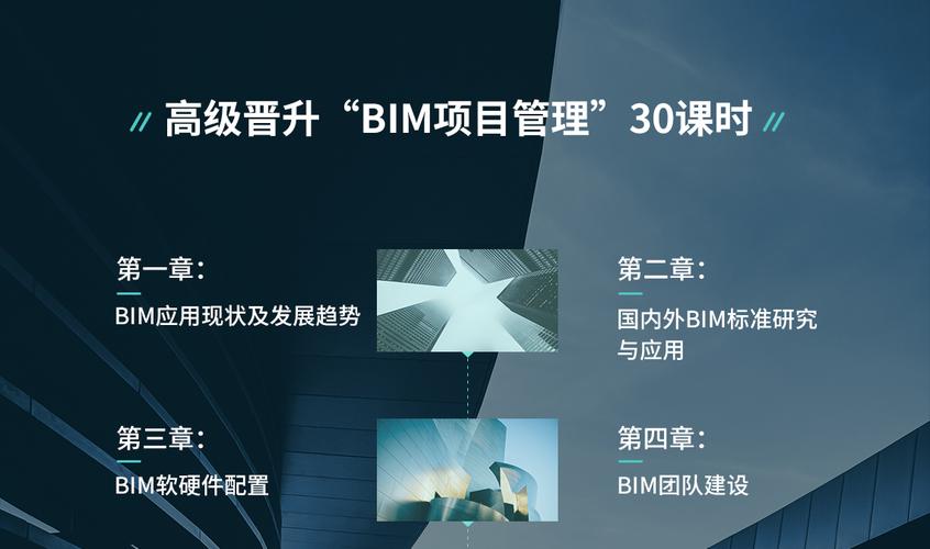 BIM項目管理專家 BIM項目管理專家 - BIM,Reivt中文網