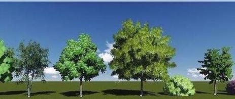 如何在Lumion中創建樹木的鏡像效果 如何在Lumion中創建樹木的鏡像效果 - BIM,Reivt中文網