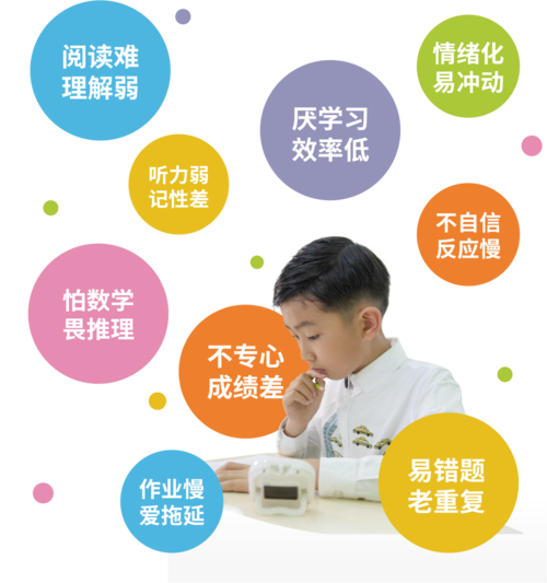 提升專注力的培訓