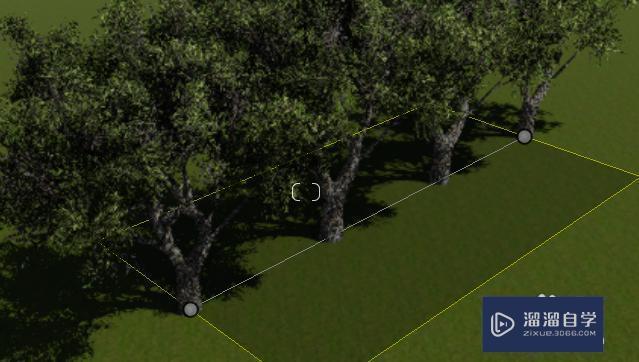 為什么Lumion無(wú)法正常顯示種植樹木？ - BIM,Reivt中文網(wǎng)