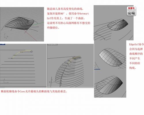 犀牛為什么不能成功沿曲面流動？ - BIM,Reivt中文網