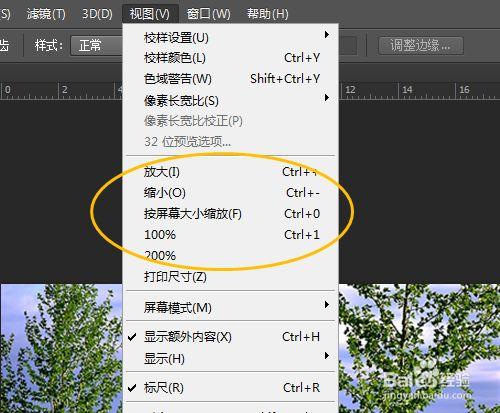 如何在PS中實現圖像的放大和縮小操作 - BIM,Reivt中文網